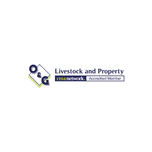 Logo Design by Prodesign81 for this project | Design: #31226914
