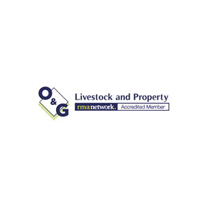 Logo Design by Prodesign81 for this project | Design: #31226915