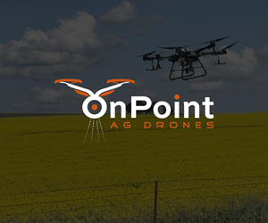 Logo Design by Ben Affleck