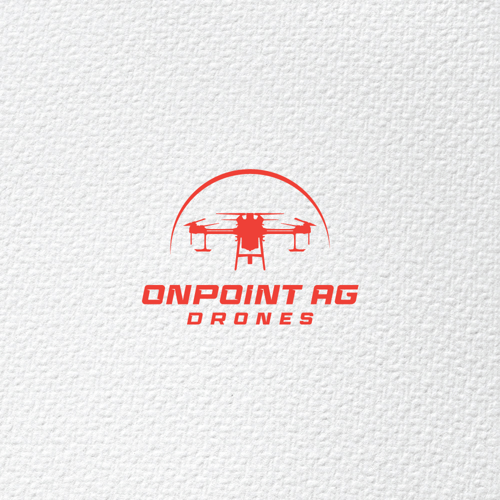 Logo Design by Ansh Design for this project | Design #31239189