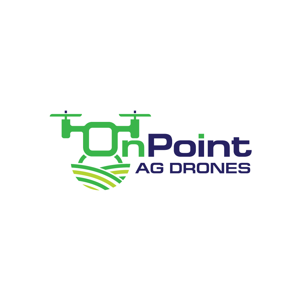 Logo Design by Ansh Design for this project | Design #31239308