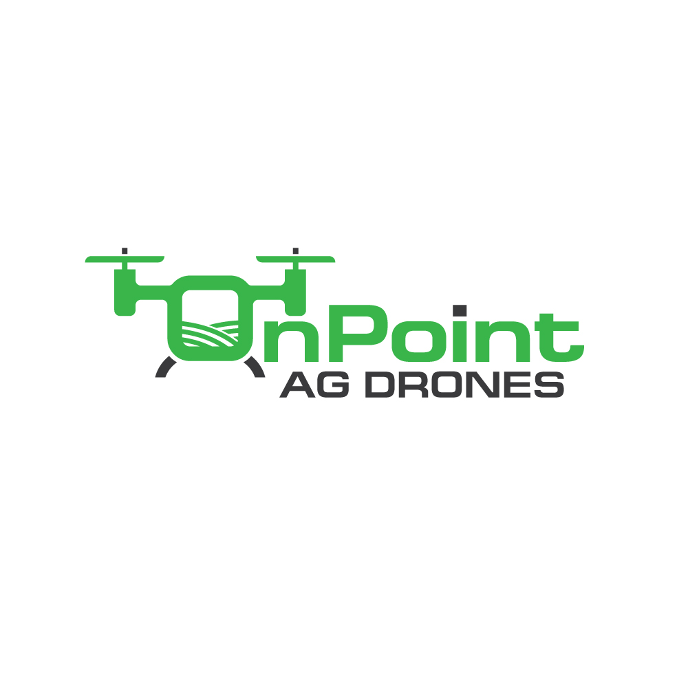 Logo Design by Ansh Design for this project | Design #31239309