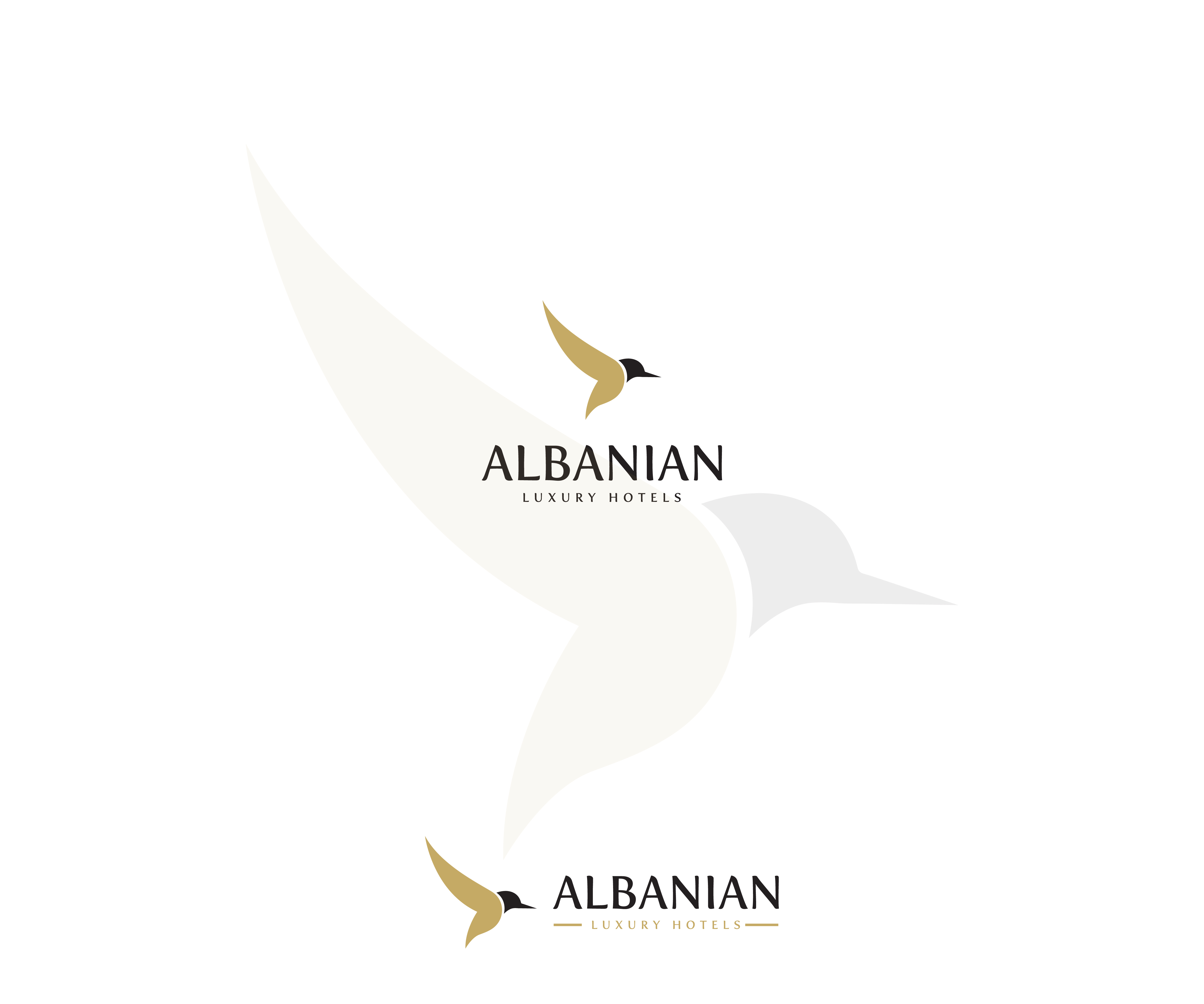 Logo Design by Tube light for this project | Design #31303774