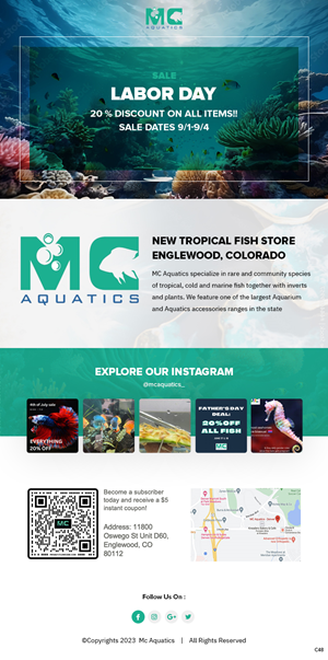 Email Marketing Design by pb for MC Aquatics | Design: #31241025