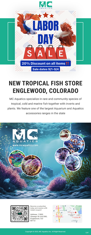 Email Marketing Design by pb for MC Aquatics | Design: #31241027