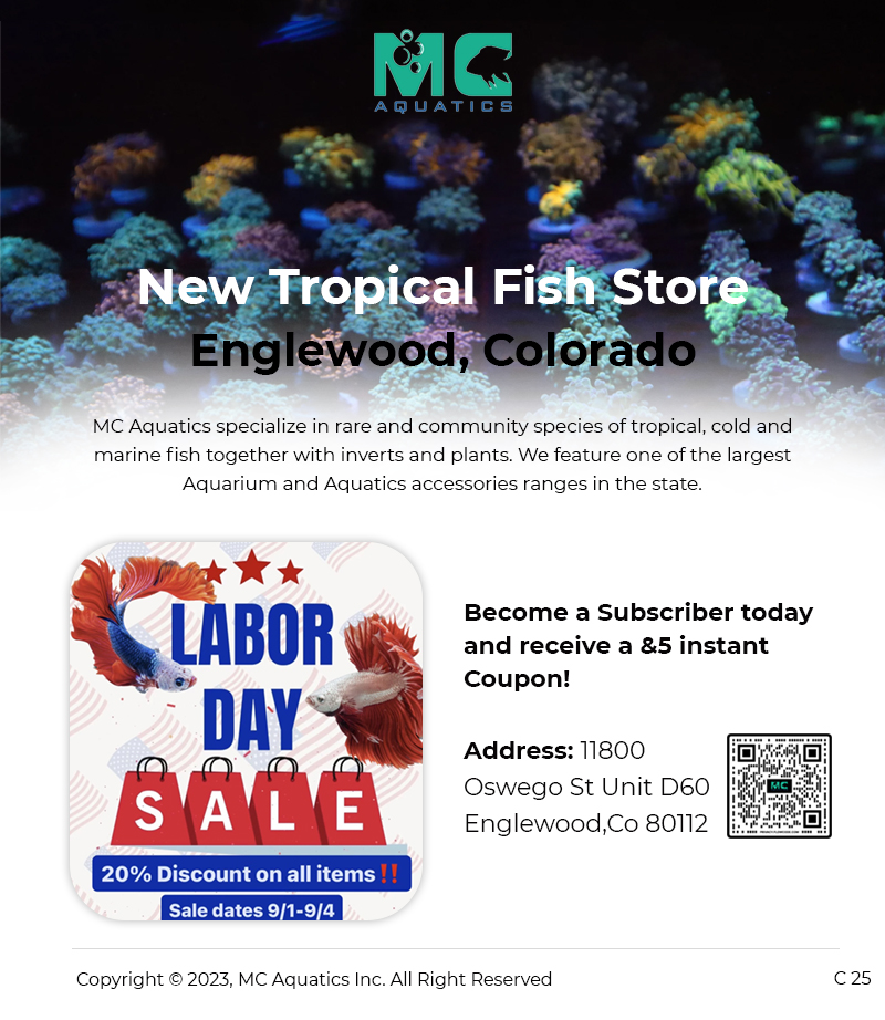 Email Marketing Design by pb for MC Aquatics | Design #31241028