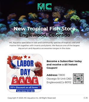 Email Marketing Design by pb for MC Aquatics | Design: #31241028