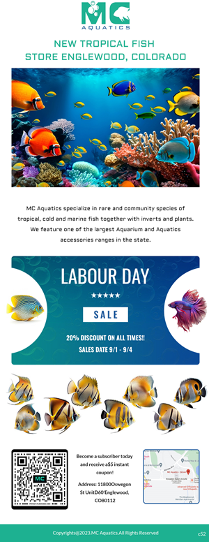 Email Marketing Design by pb for MC Aquatics | Design: #31241031