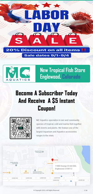 Email Marketing Design by pb for MC Aquatics | Design: #31241032