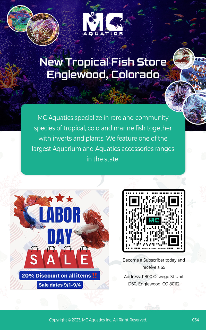 Email Marketing Design by pb for MC Aquatics | Design #31241034