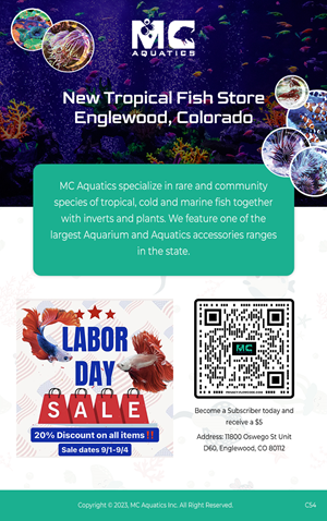 Email Marketing Design by pb for MC Aquatics | Design: #31241034