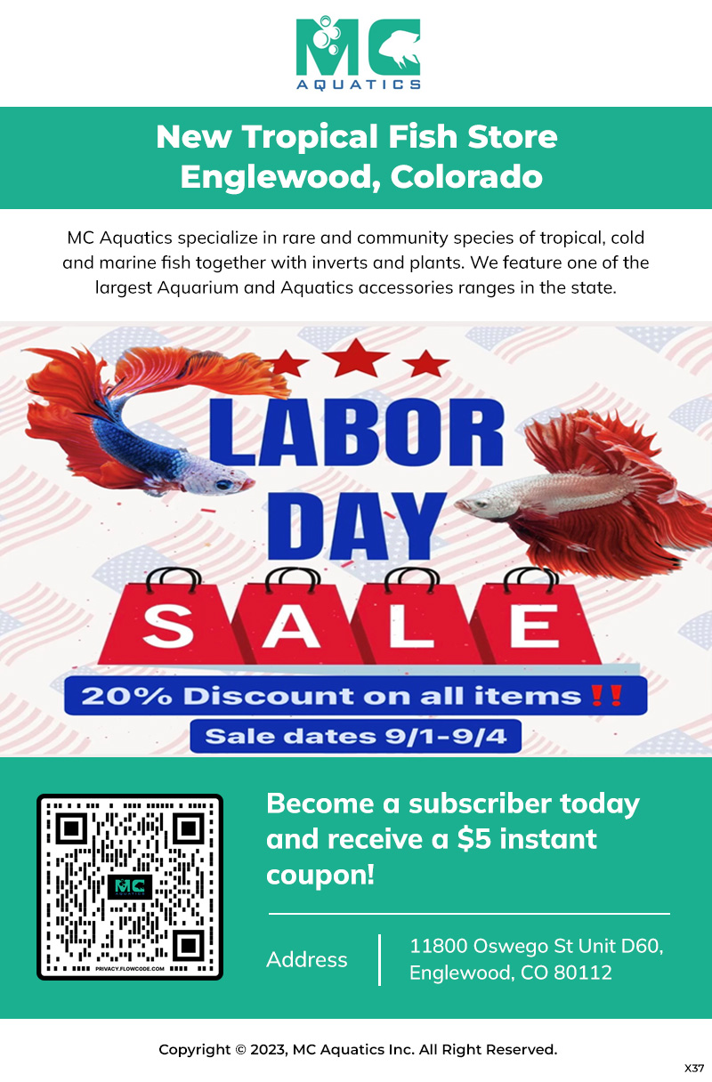 Email Marketing Design by pb for MC Aquatics | Design #31241037