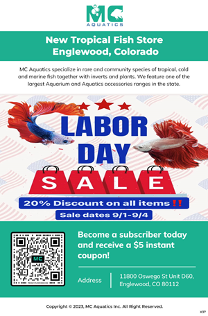 Email Marketing Design by pb for MC Aquatics | Design: #31241037