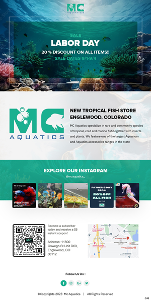 Email Marketing Design by pb for MC Aquatics | Design: #31250657