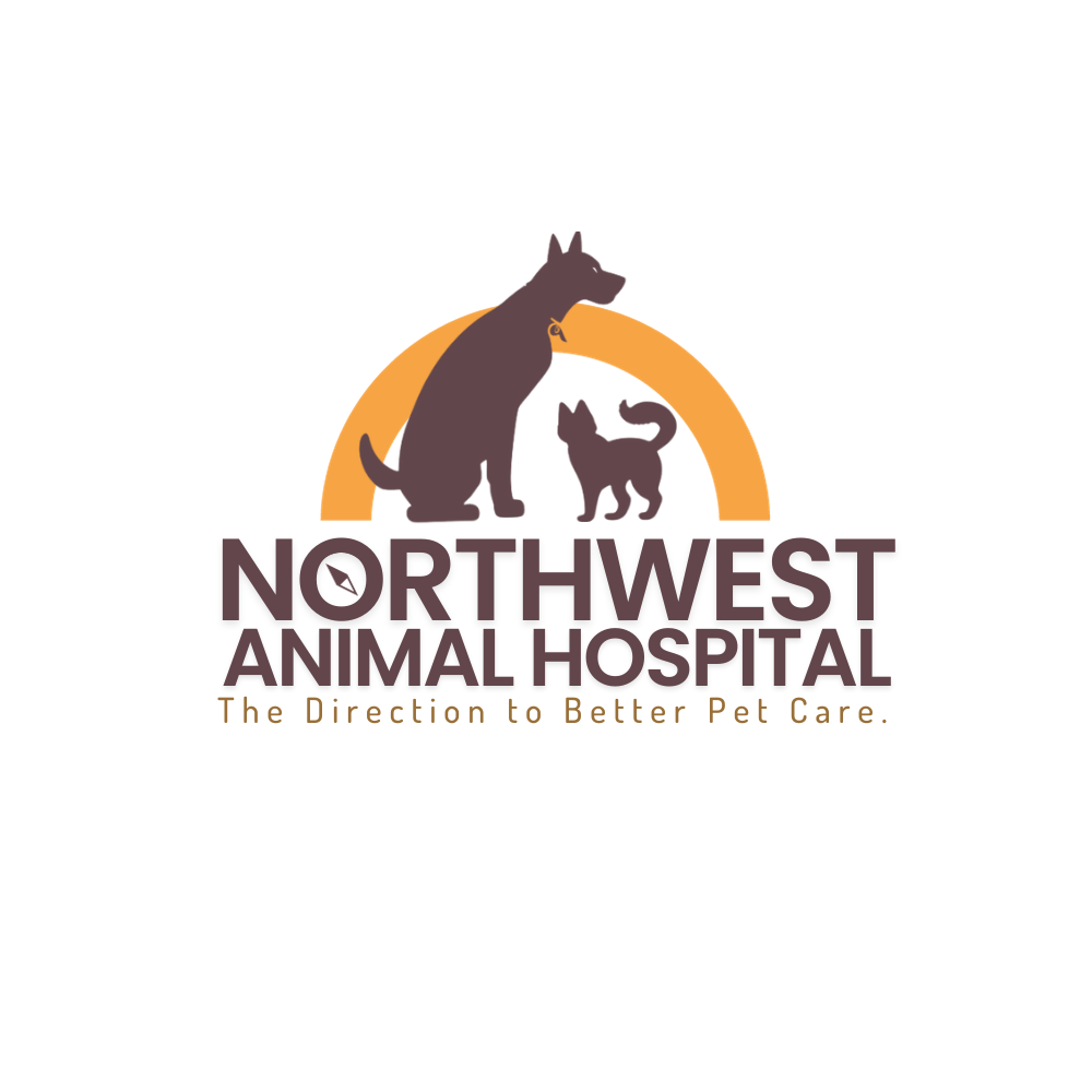 Logo Design by Chas Designs for Northwest Animal Hospital | Design #31305614