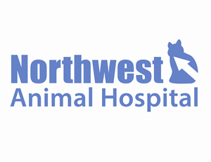 Logo Design by CS Works
