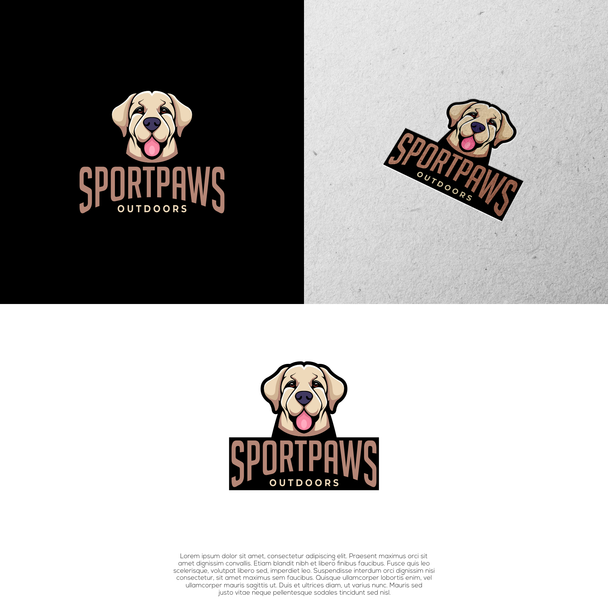 Logo Design by Verguson for this project | Design #31253282