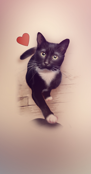 Adorable-eyed cat reaching for love