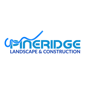 Logo Design by MONIR360