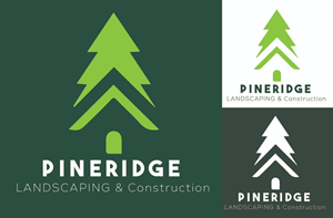 Logo Design by Asif  Maqsood for this project | Design: #31252758