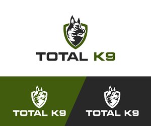 Logo-Design von oscar raise für dieses Projekt | Design: #31292120