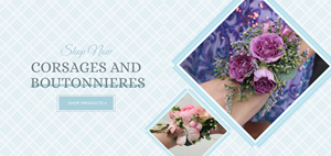 Banner-Design von Blue Sparrow für dieses Projekt | Design: #31285850