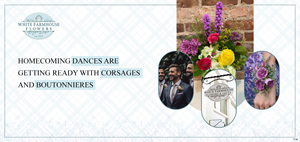 Diseño De Banner Publicitario por pb para este proyecto | Diseño: #31258126