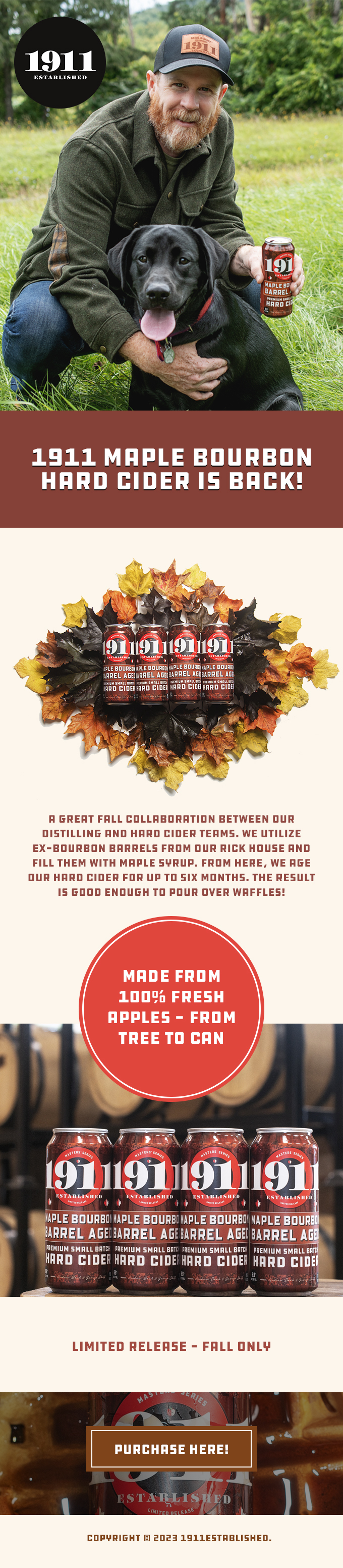 Diseño Web por MAHABA para este proyecto | Diseño #31262030