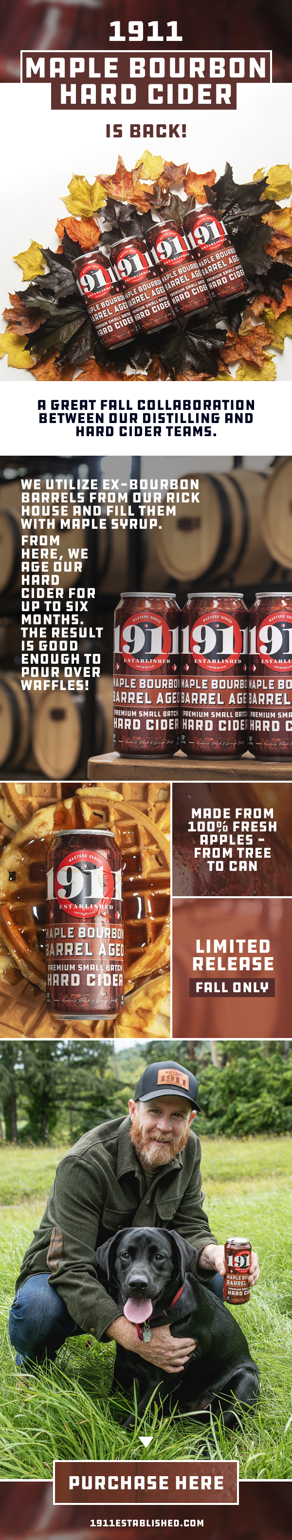 Web Design by Mikai!13 for this project | Design #31261635