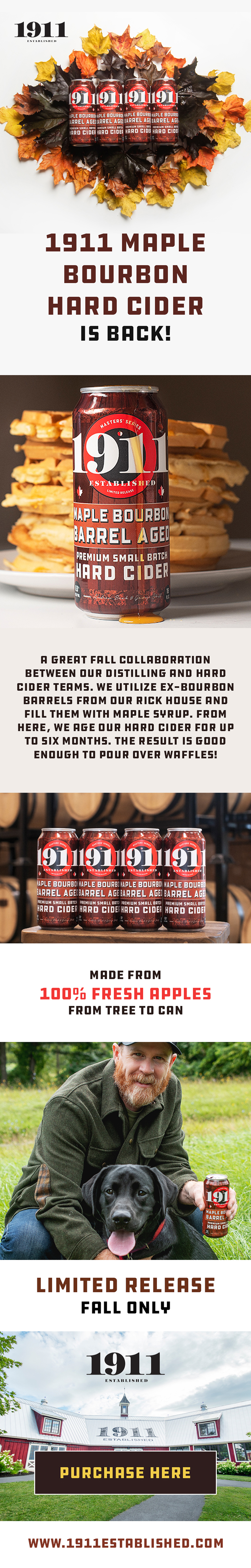 Diseño Web por Creations Box 2015 para este proyecto | Diseño #31262350