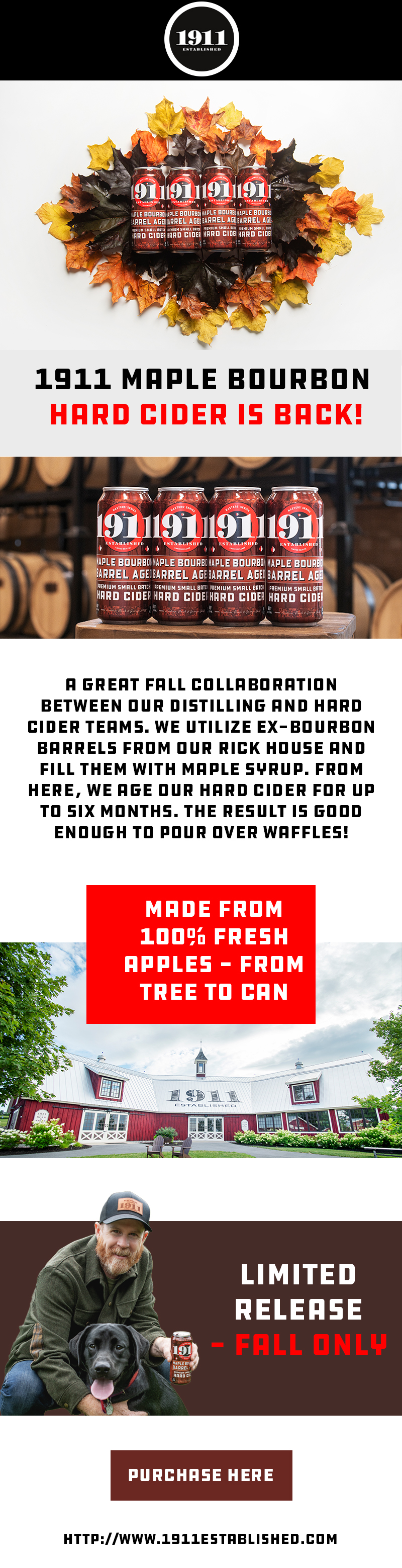 Diseño Web por Creations Box 2015 para este proyecto | Diseño #31262353