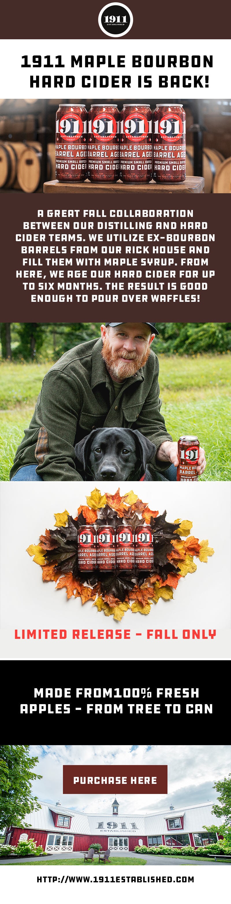 Diseño Web por Creations Box 2015 para este proyecto | Diseño #31262388