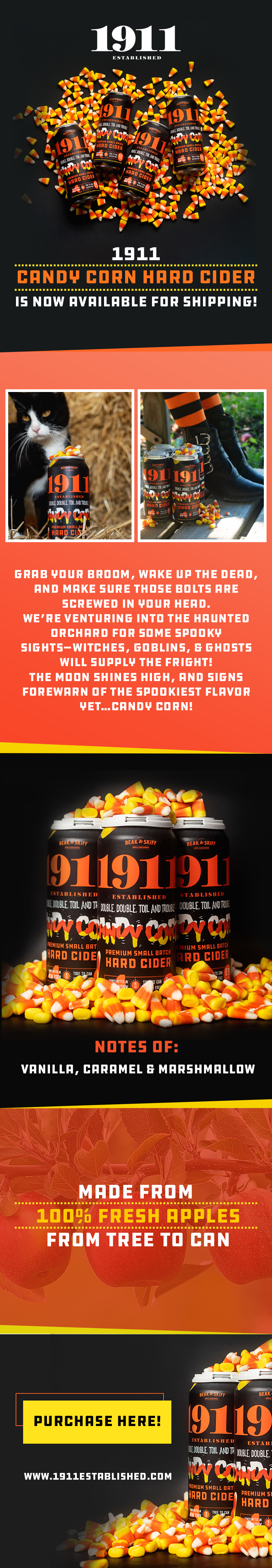 Web Design by Creations Box 2015 for this project | Design #31261672