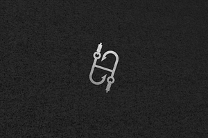 Logo-Design von Roman Designs für dieses Projekt | Design: #31288654