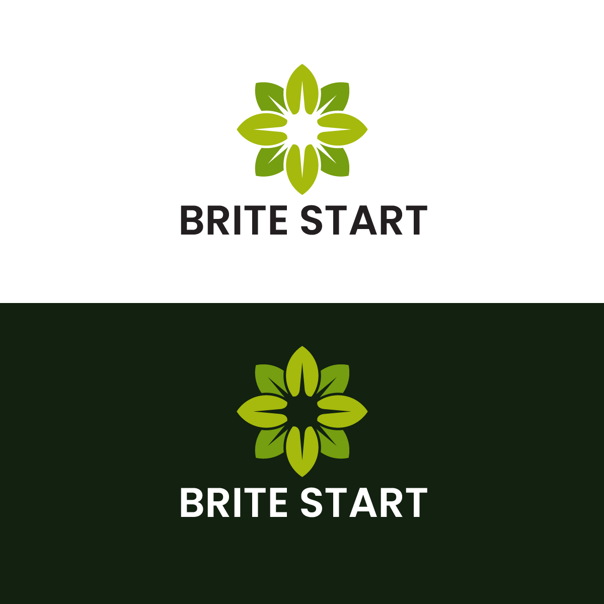 Logo Design by Elrich for this project | Design #31289665