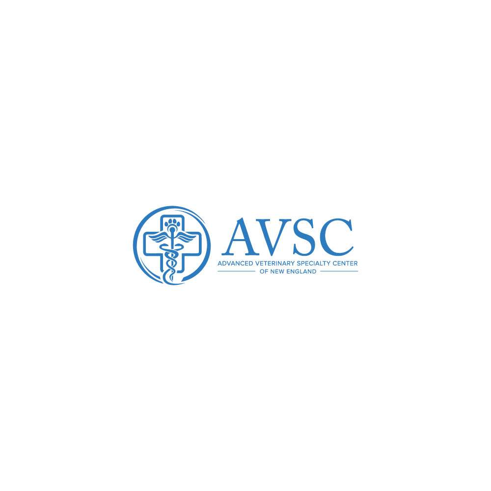 Logo Design by janemarry3 for this project | Design #31274906