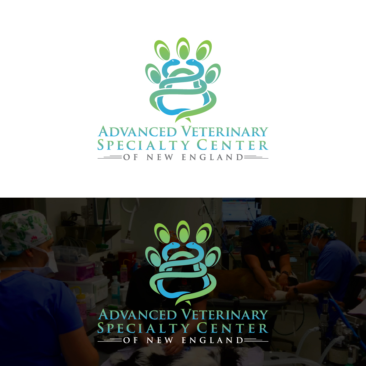 Logo Design by Deziners Zone for this project | Design #31277089