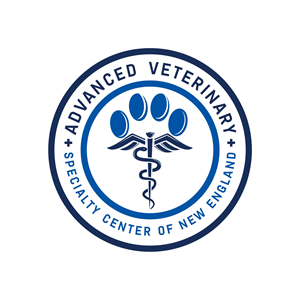 Diseño de Logo por creative.bugs para este proyecto | Diseño: #31276207