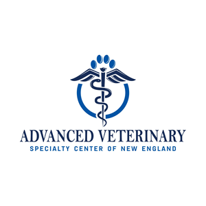 Diseño de Logo por creative.bugs para este proyecto | Diseño: #31276208