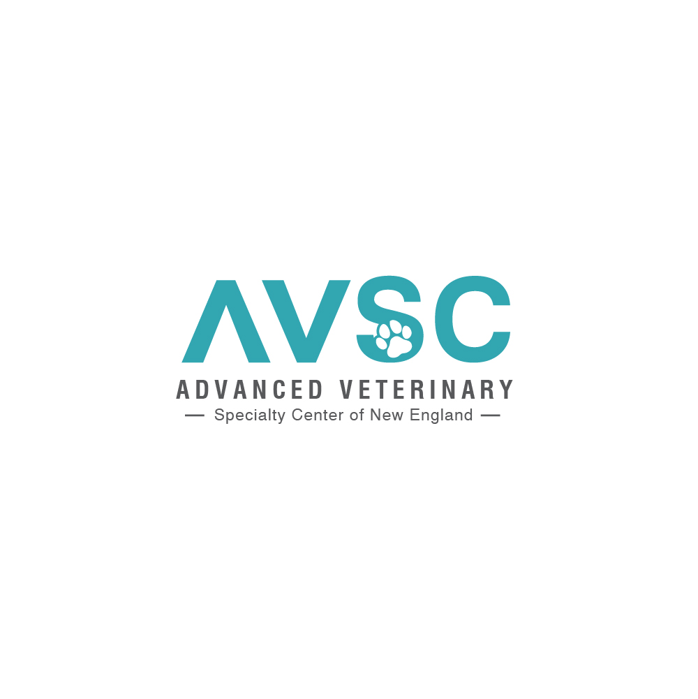 Logo Design by Designpool for this project | Design #31276461
