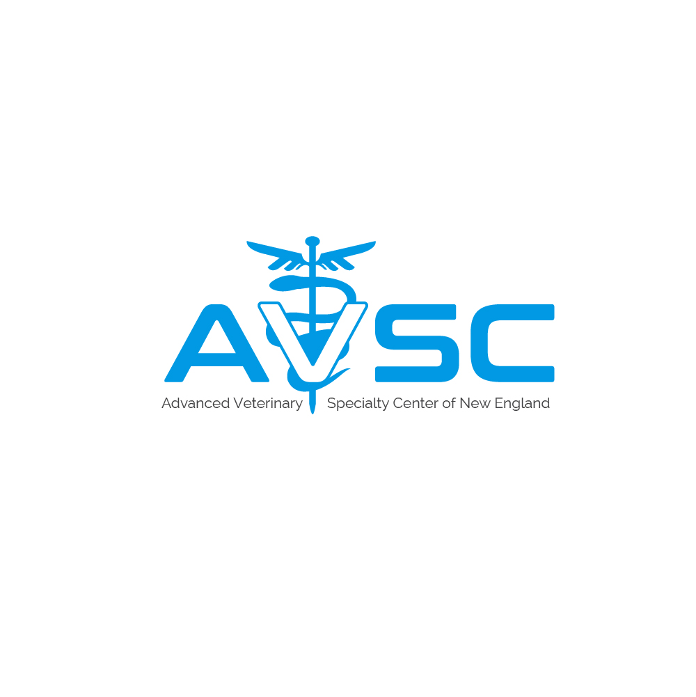 Logo Design by Designpool for this project | Design #31276477