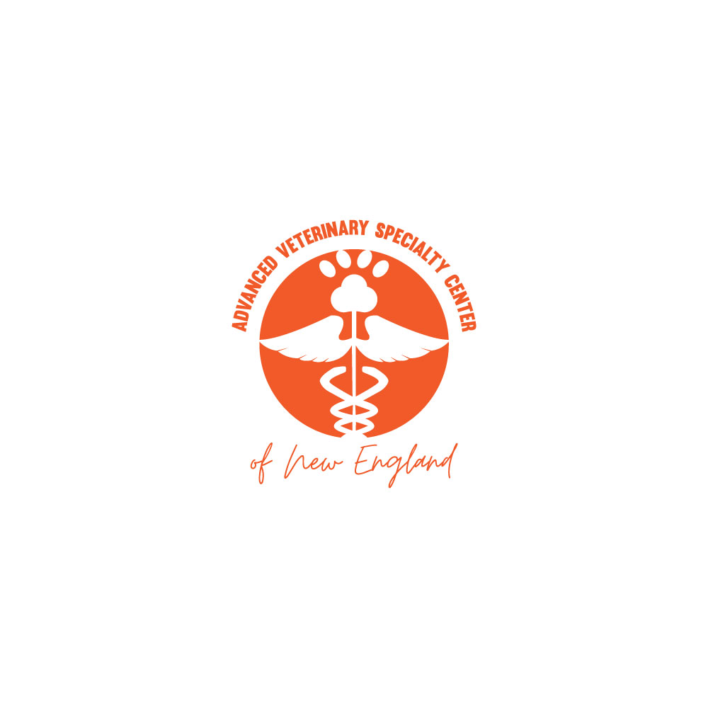 Logo-Design von Ansh Design für dieses Projekt | Design #31275911