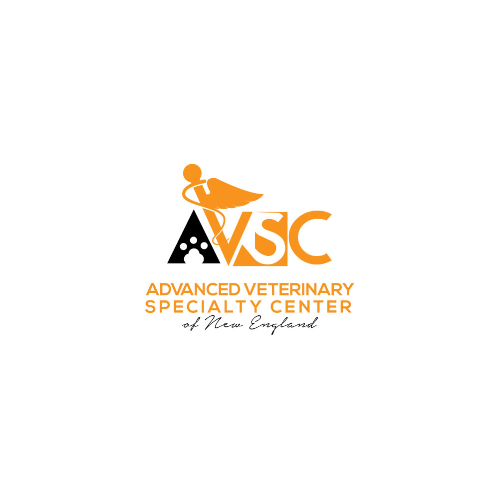 Logo Design by Ansh Design for this project | Design #31275913