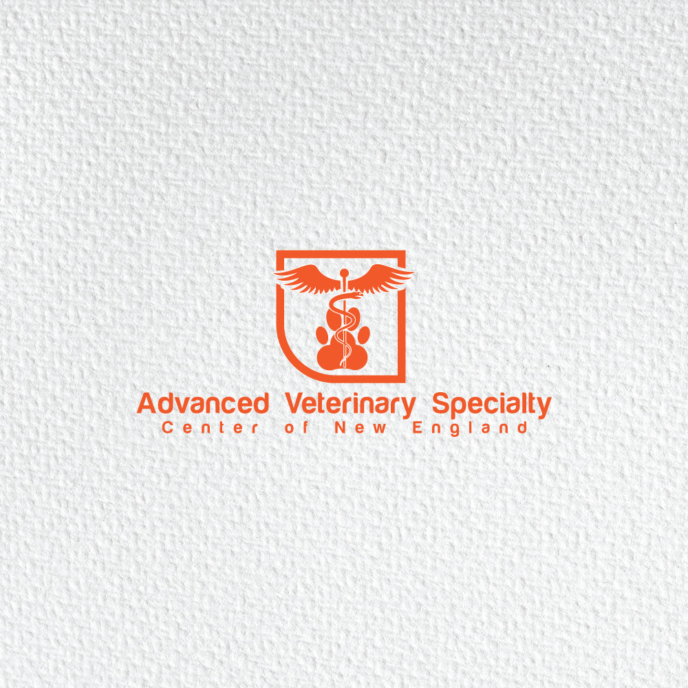 Logo-Design von Ansh Design für dieses Projekt | Design #31275914