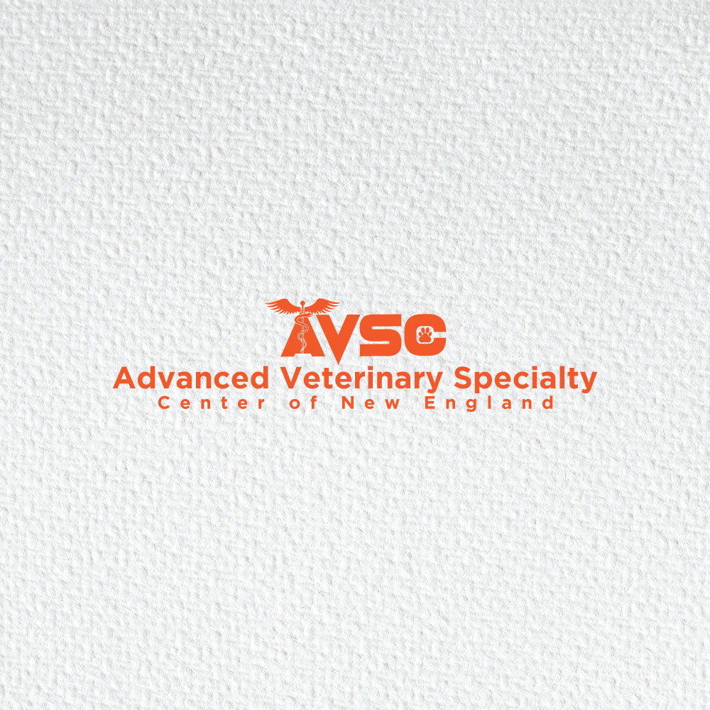 Logo-Design von Ansh Design für dieses Projekt | Design #31275915