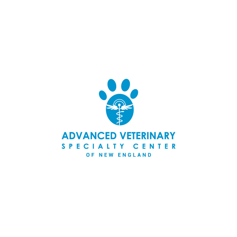 Logo Design by Ansh Design for this project | Design #31275917