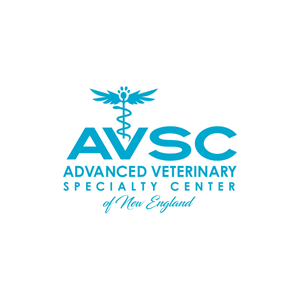 Logo-Design von Ansh Design für dieses Projekt | Design: #31306002