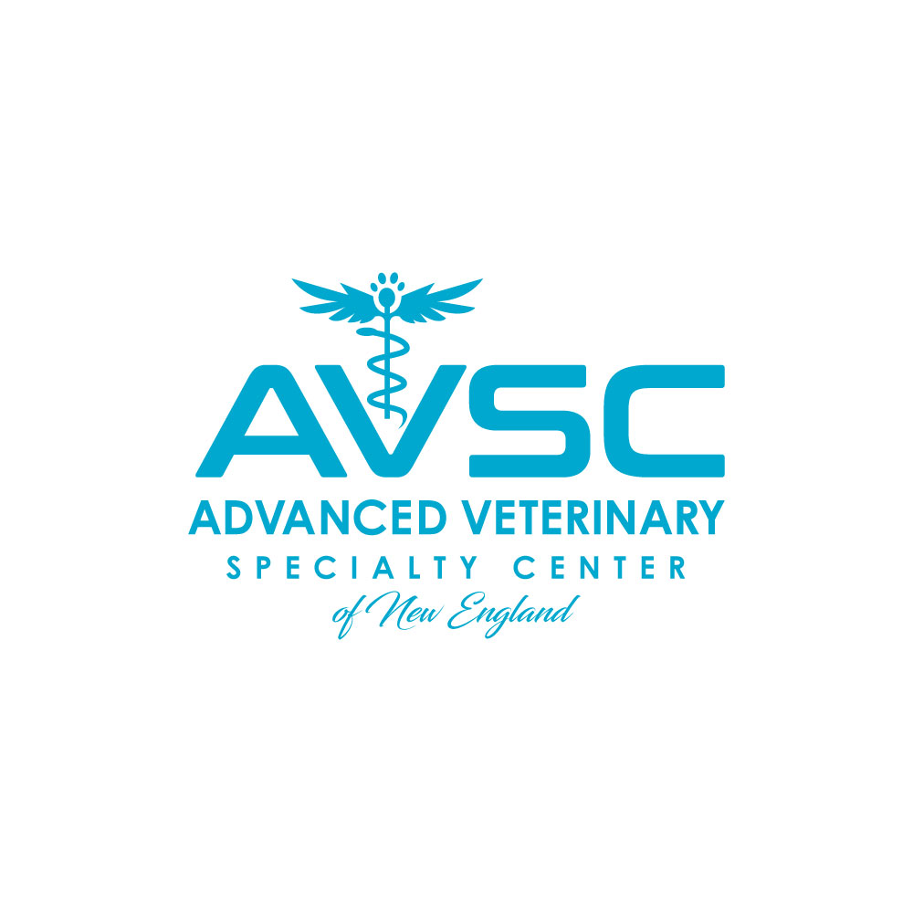 Logo Design by Ansh Design for this project | Design #31306003
