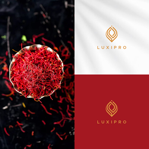 Diseño de Logo por sabina aiko para Loxipro | Diseño: #31285953