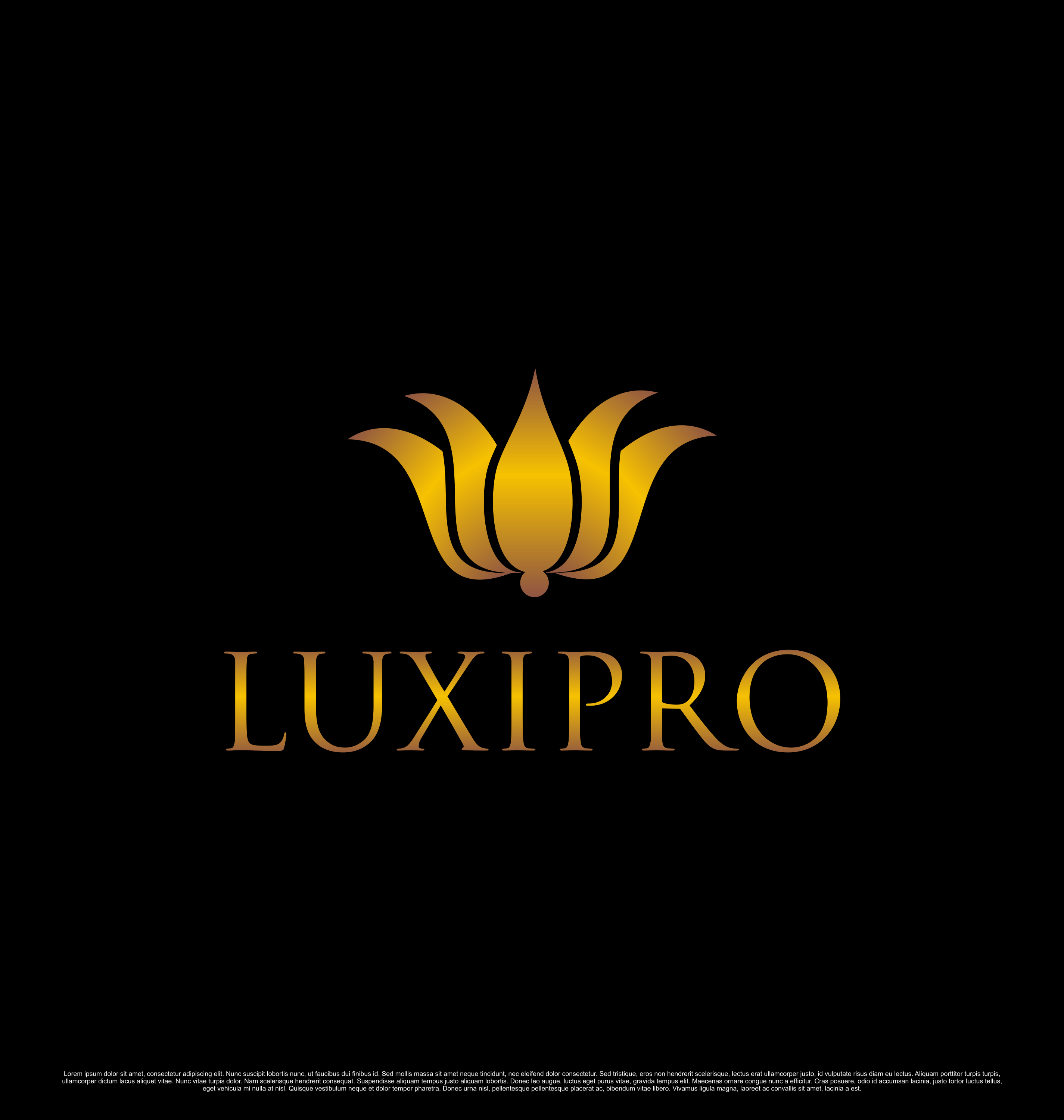Logo Design by saesean for Loxipro | Design #31277253